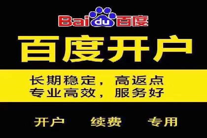 体育赛事宣传中的SEM托管服务：从策划到执行